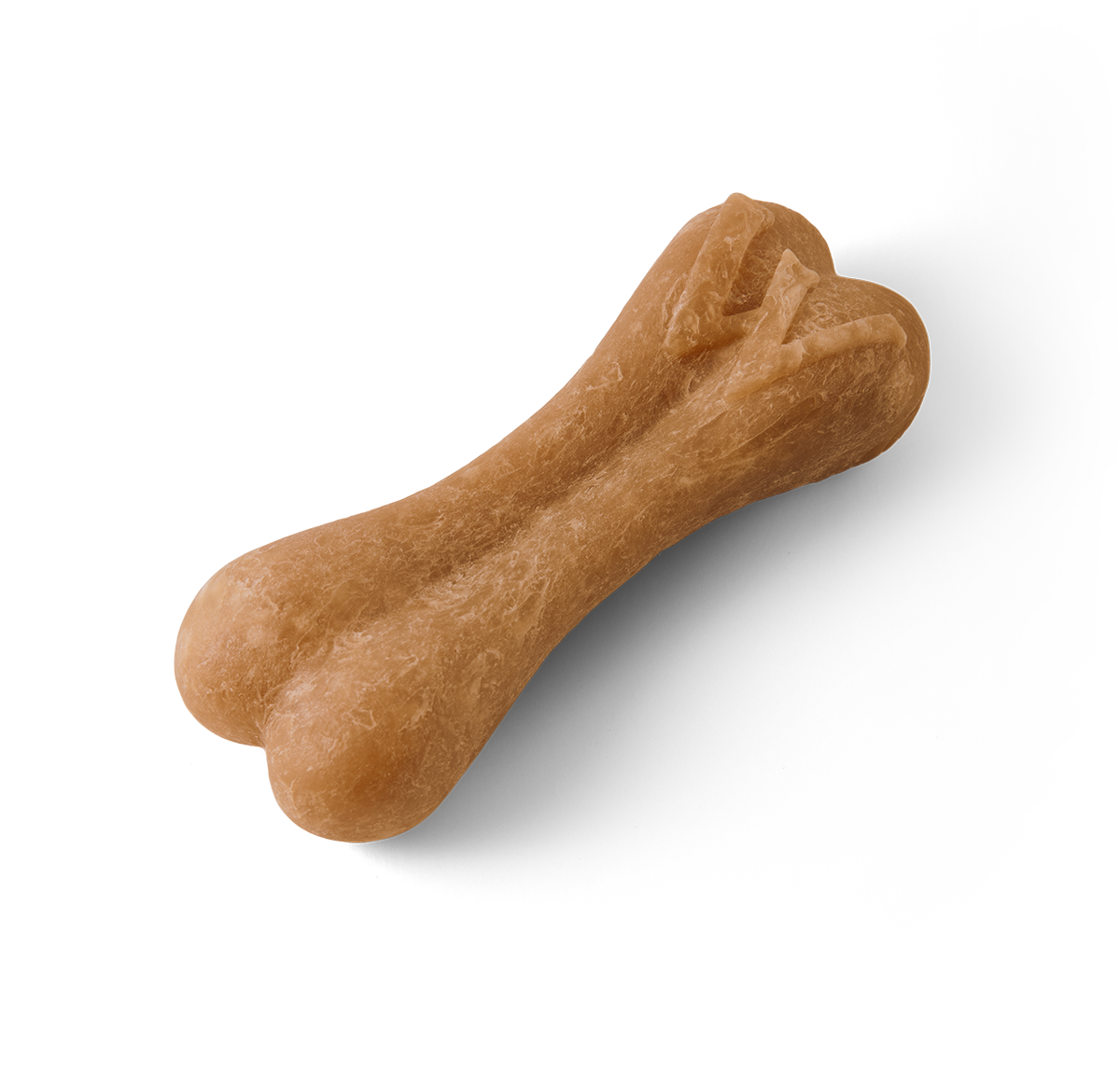 Rice Bone Image