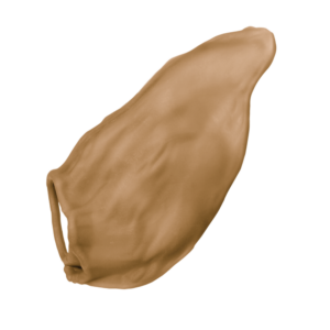 Main Image Thumbnail