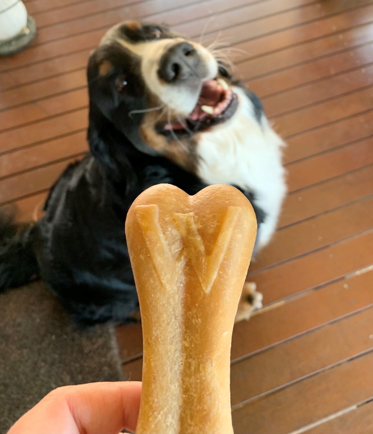 Rice Bone ALL NATURAL DAILY DENTAL TREAT FOR DOGS WHIMZEES AU NZ